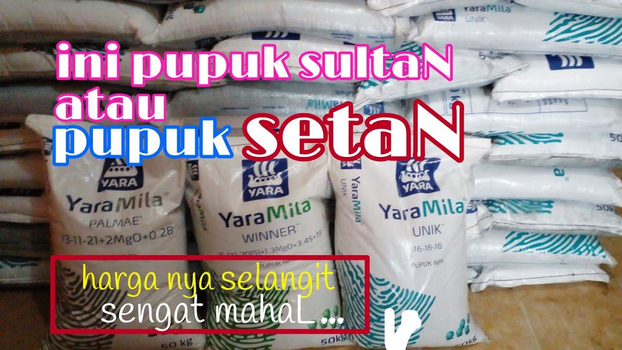 Review Pupuk Sultan|Npk Yaramila
