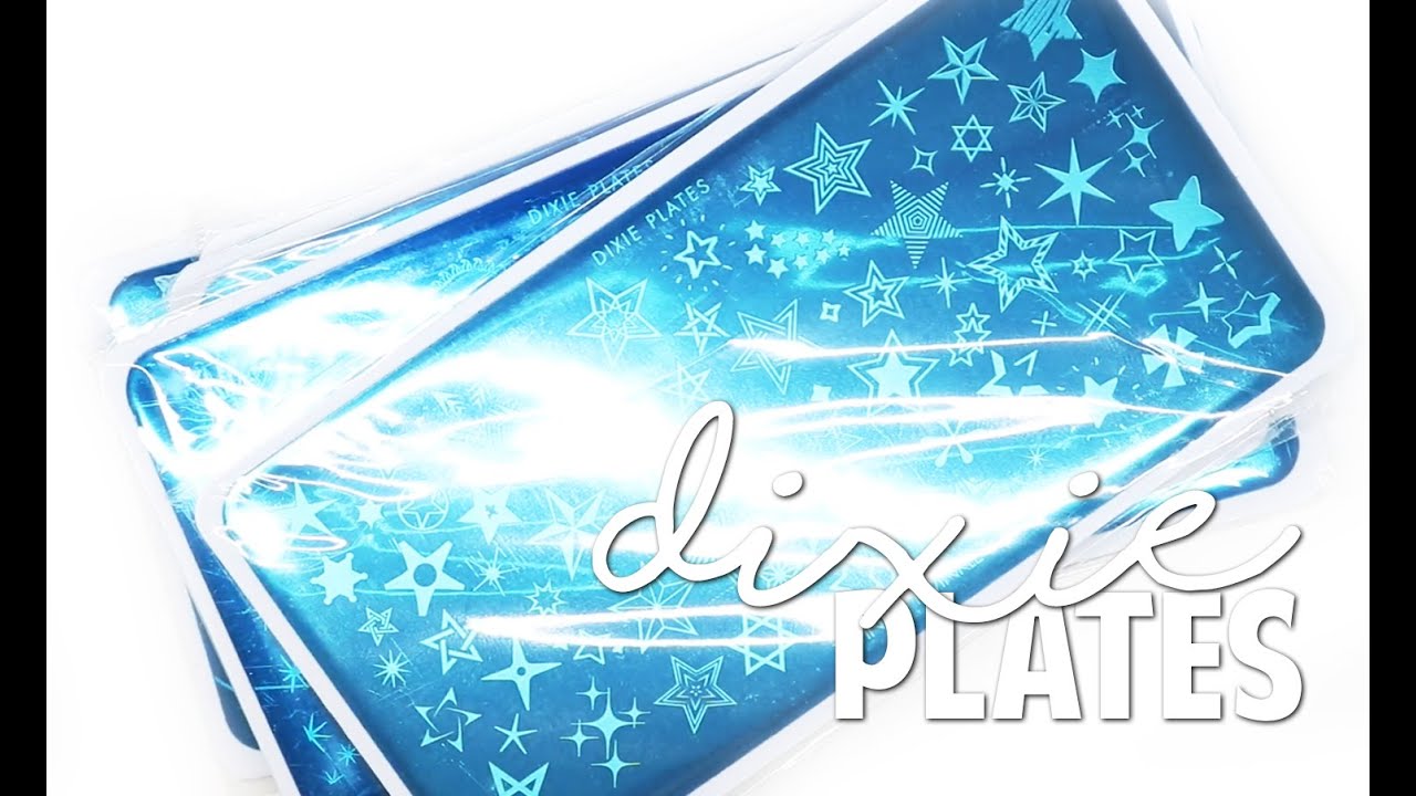 DIXIE PLATES HAUL | Stamping Plate Haul
