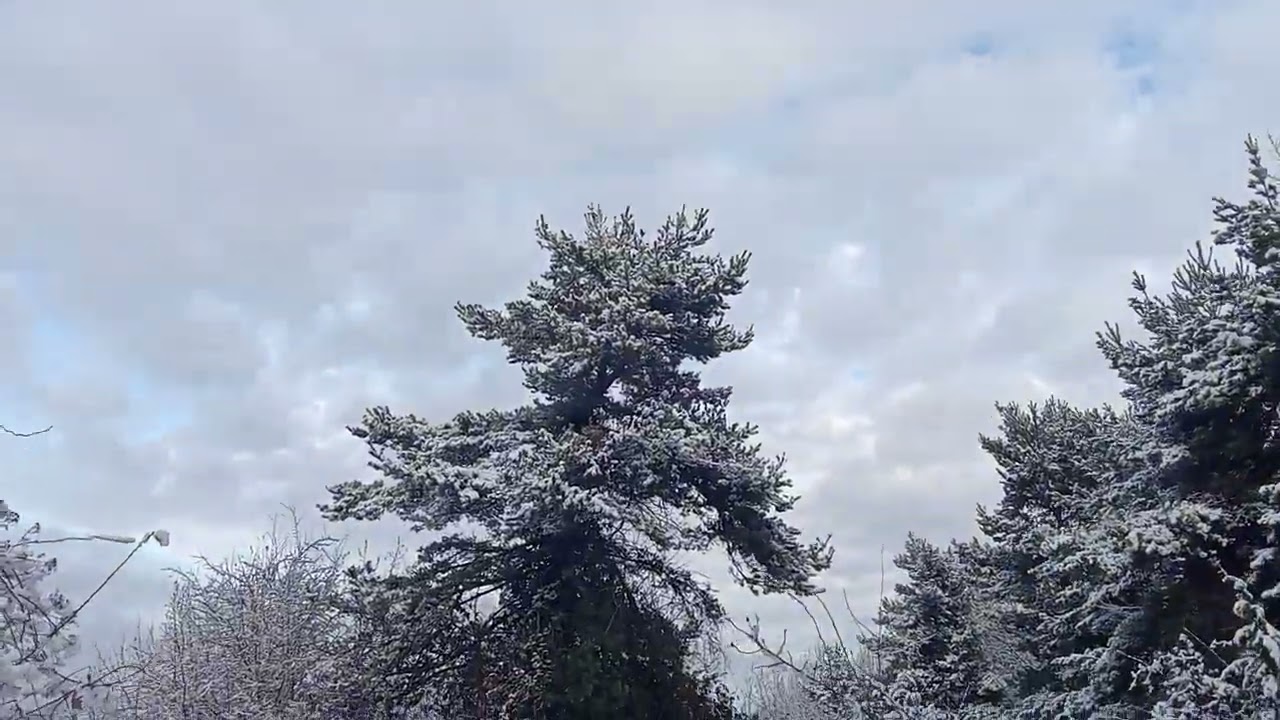VID 20260105 153918