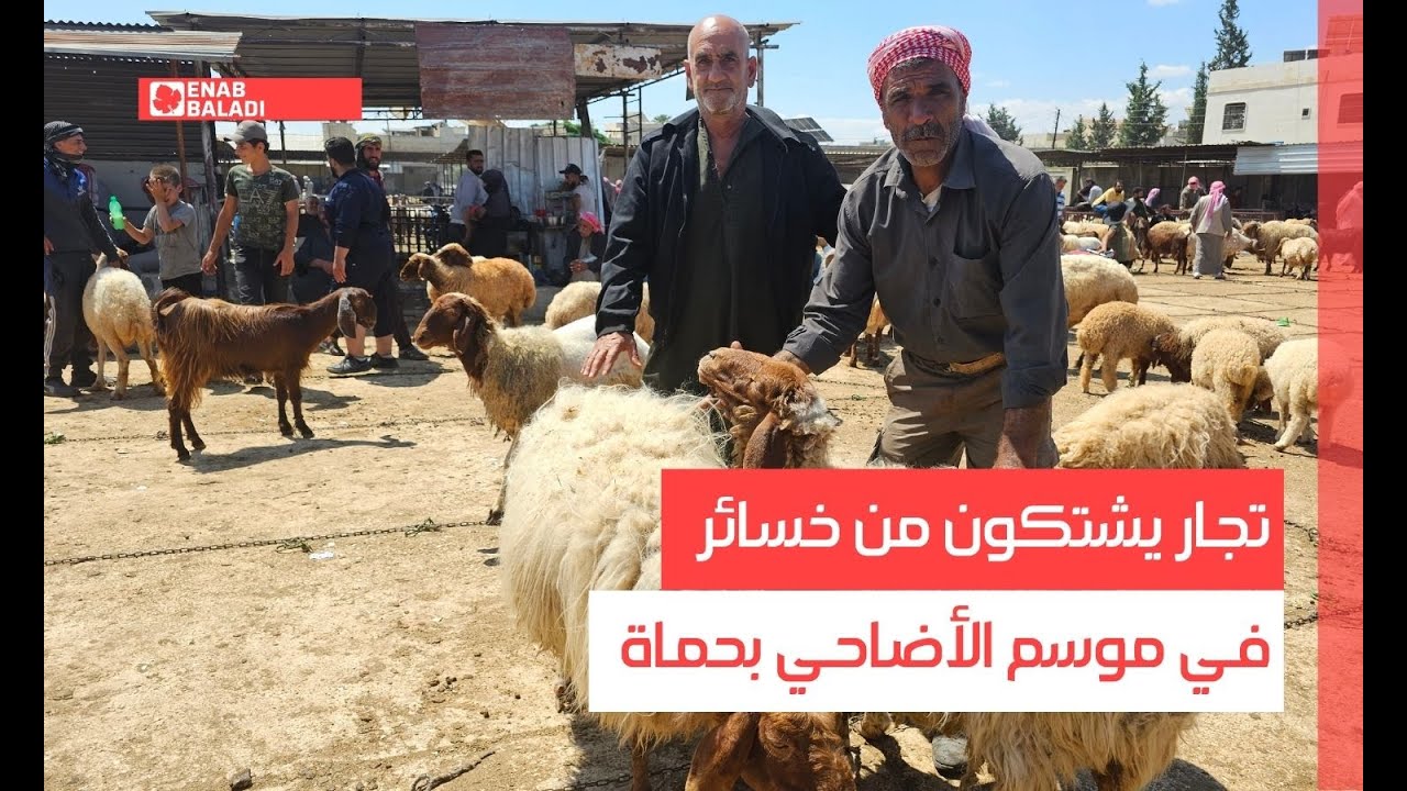 تجار يشتكون من خسائر في موسم الأضاحي بحماة