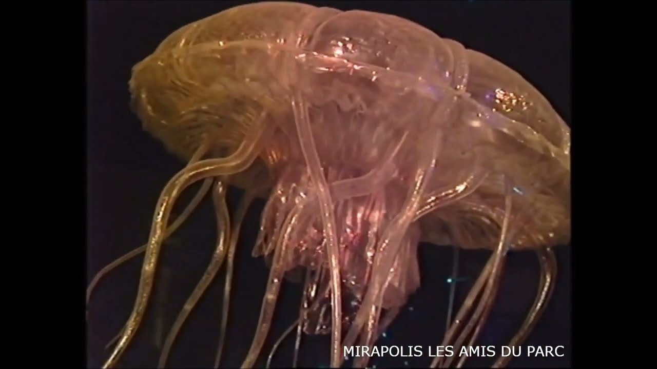 MIRAPOLIS : La Ville d'Ys (attraction quasi complète)