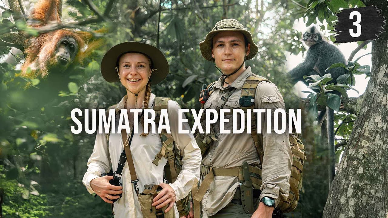 9-Tage mit der Kamera im Dschungel: Das Abenteuer startet jetzt! 🎥🌿 | SUMATRA Ep. 3