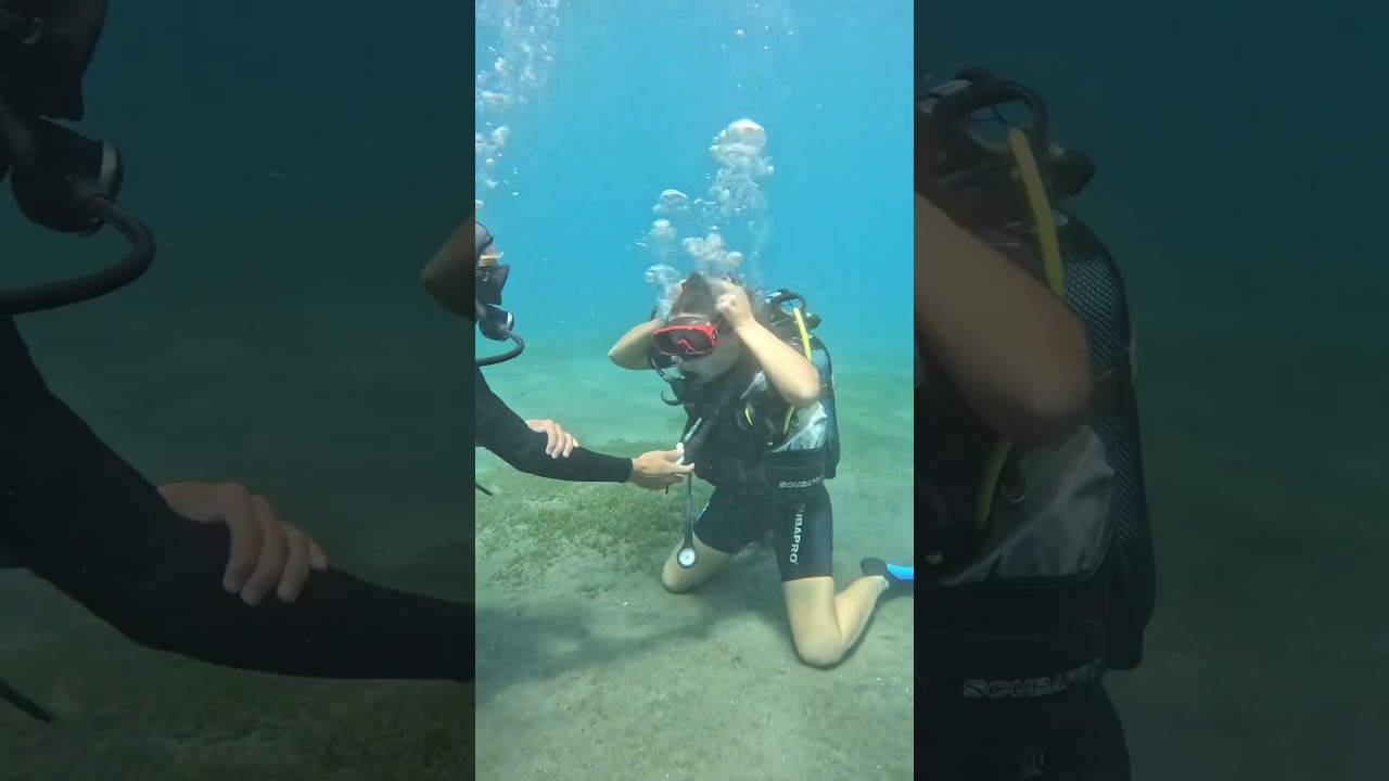 Open water diver exercice 🤿 #diving #scubadiving #plongeesousmarine #padi #guadeloupe