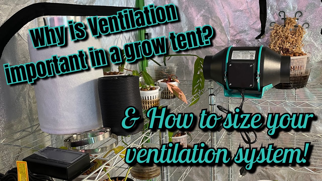 Why Ventilation Is Important In Your Grow Tent & How To Size Your Ventilation System!