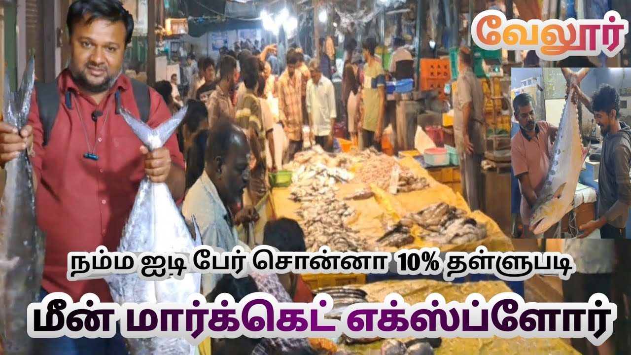 Vellore fish market morning time வேலு மீன் மார்க்கெட் காலை வியாபாரம்  