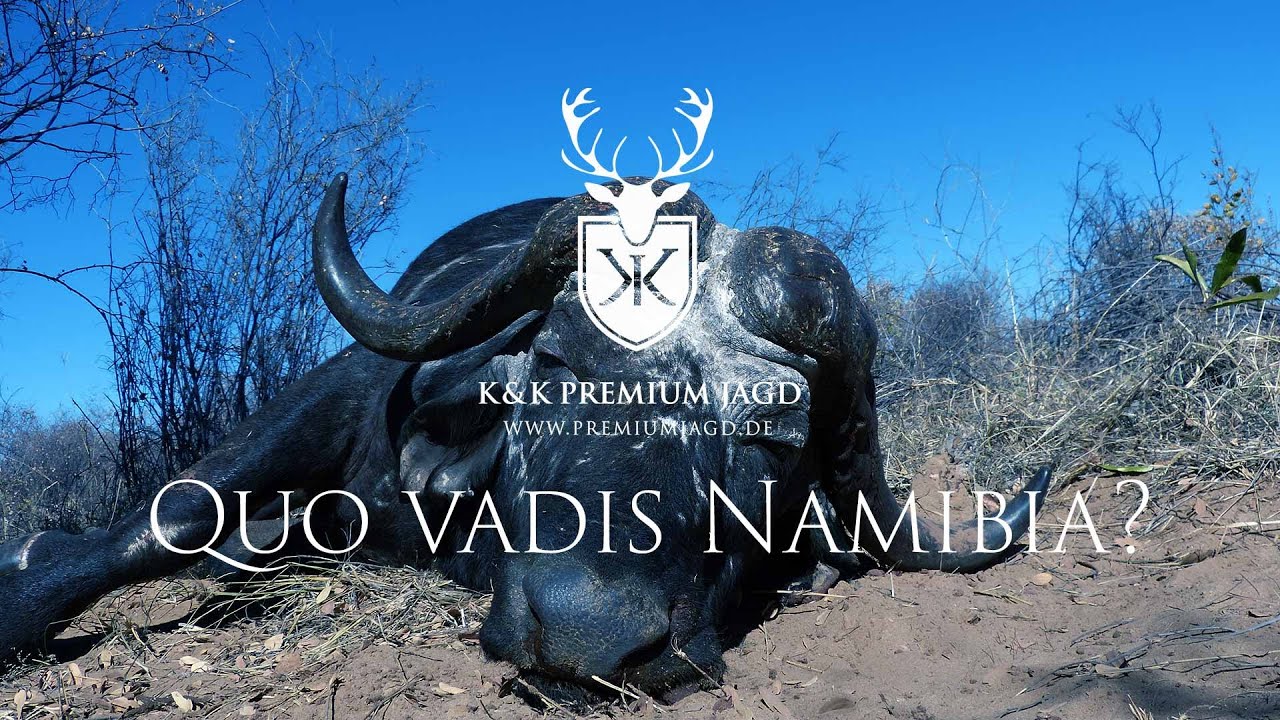 B&Uuml;FFELJAGD IN NAMIBIA-Jagen mit den Buschm&auml;nnern-Die hohe Kunst des F&auml;hrtenlesens | K&K Premium Jagd