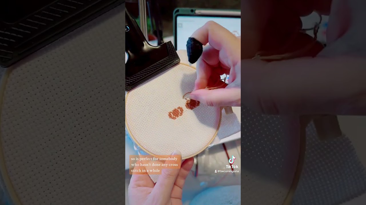 Fall Cross Stitch: Timelapse
