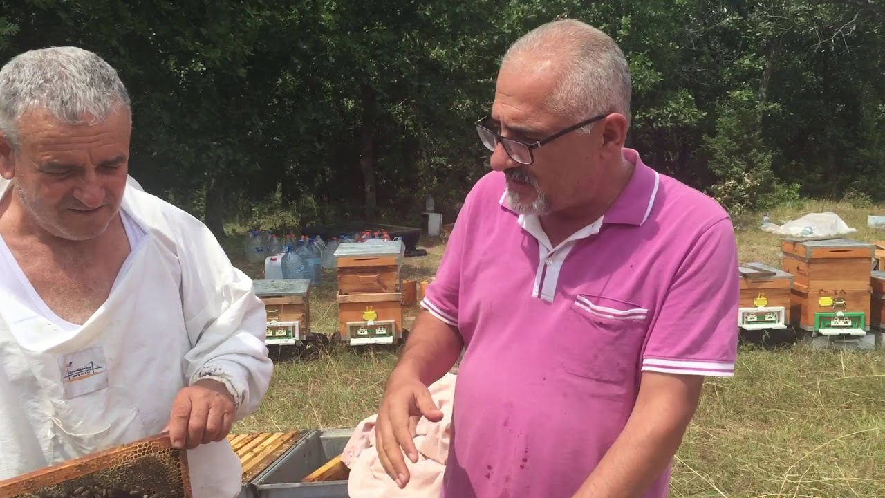 Koloniyi İki Katlı Olarak Kışlatma
