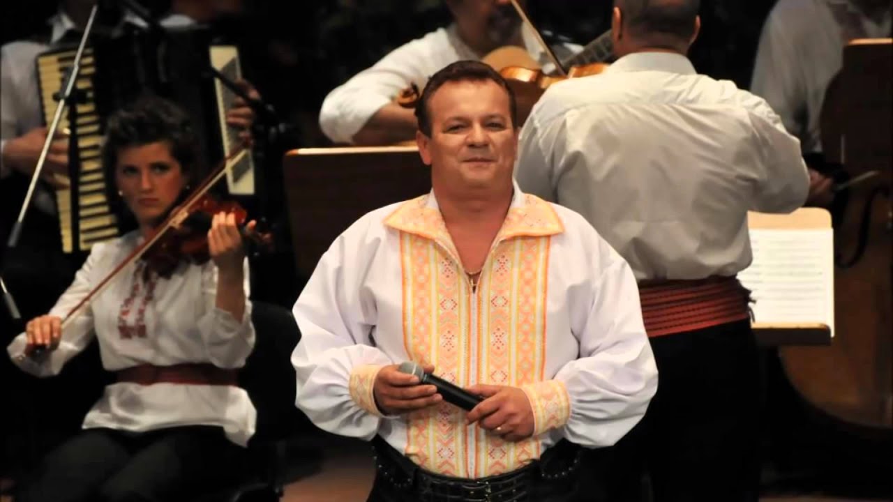 Adrian Stanca - Ascultare