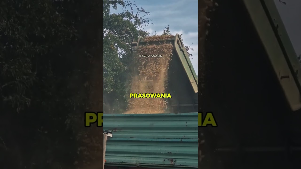 Fabryka PELLETU jeździ po polu?! 🔥 Krone Premos 5000! 🚜