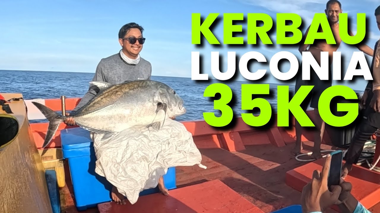 Kerbau Luconia 35KG | VLOG #386 Part 2