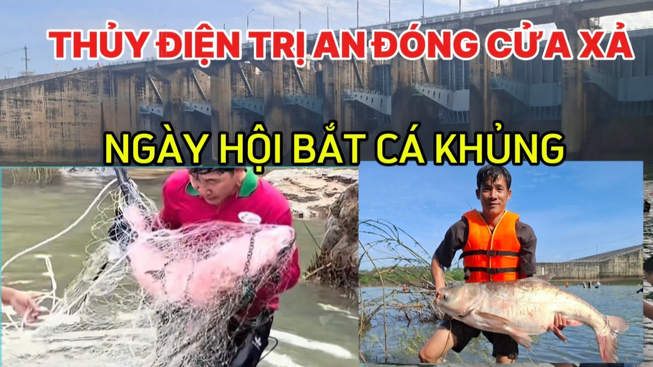 Thủy điện Trị An đóng cửa xả người dân bắt được rất nhiều cá to dưới lòng sông-ngày hội bắt cá