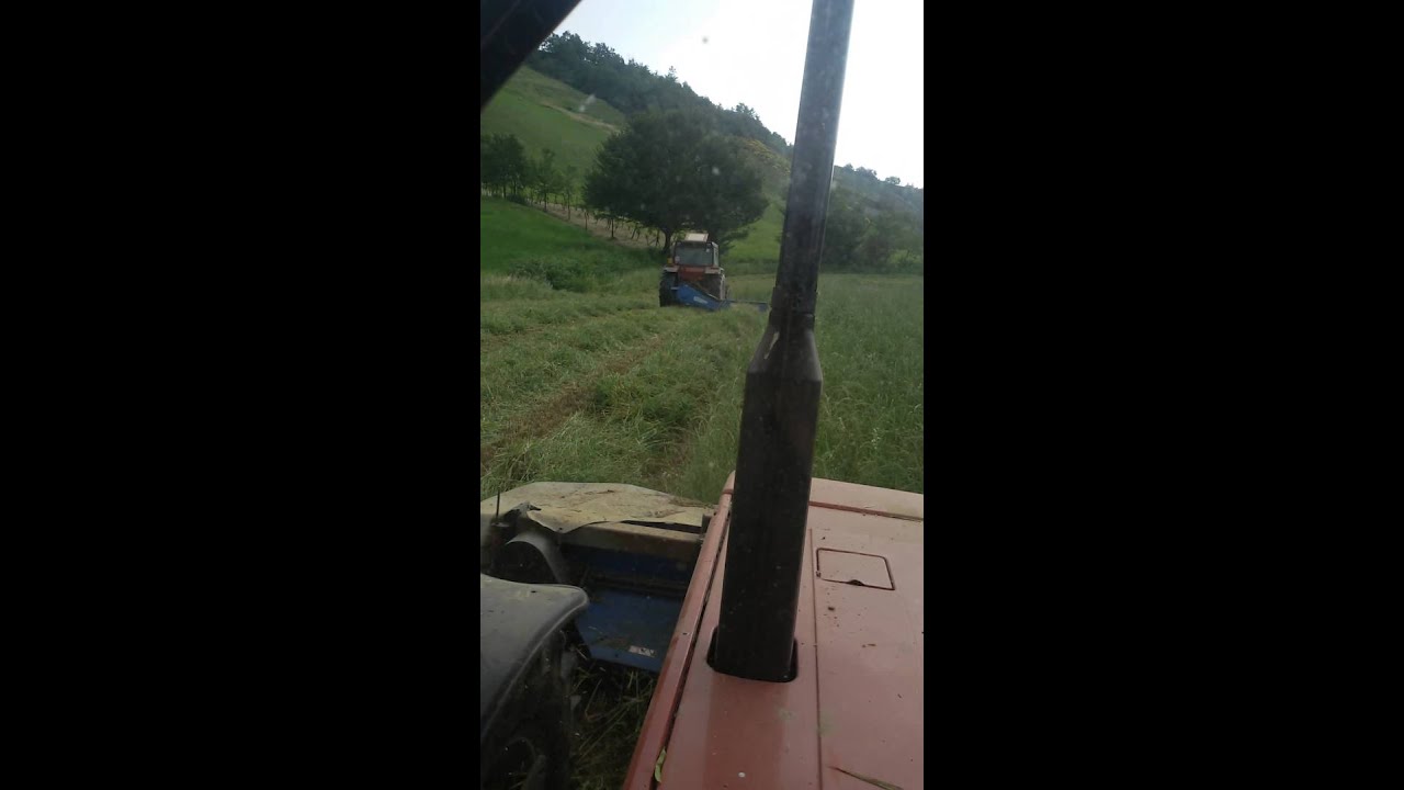 fienagione 2015 primo taglio