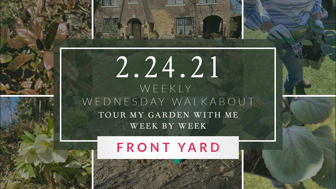 GARDEN TOUR: What to do after the Record Setting Winter Storm + Cold  //  Linda Vater