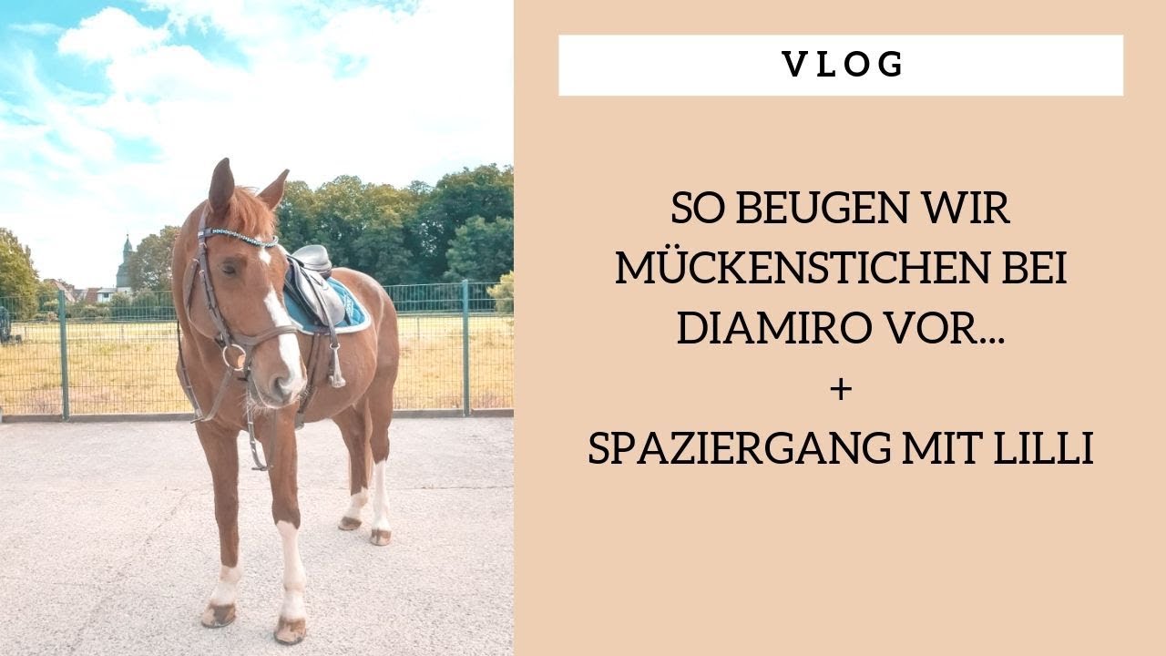 [Vlog] So beugen wir M&uuml;cken bei Diamiro vor | 20.06.2019
