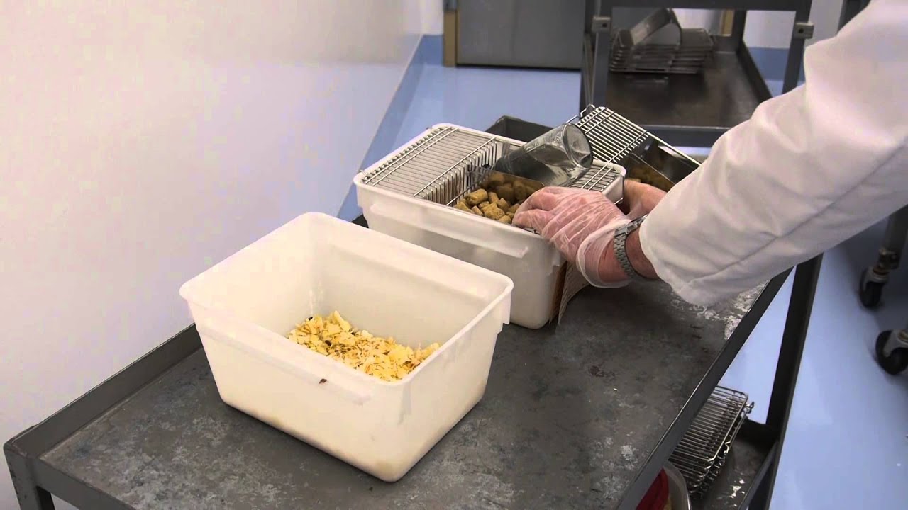 1.7 – Handling Procedure of the Mice