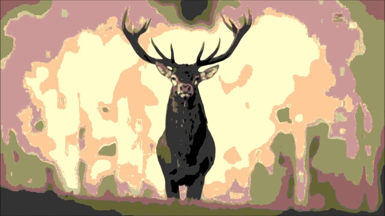 The Black Angels /  Phosgene Nightmare (Full Album)