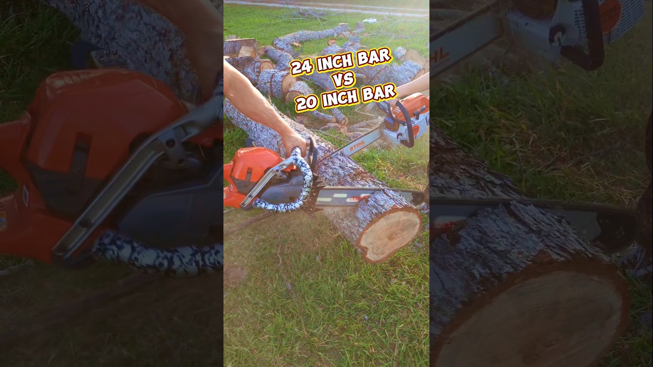 Stihl MS261 VS Husqvarna 562XP Mark II !!! #stihl #chainsaw #vs #husqvarna #ms261 #562xp