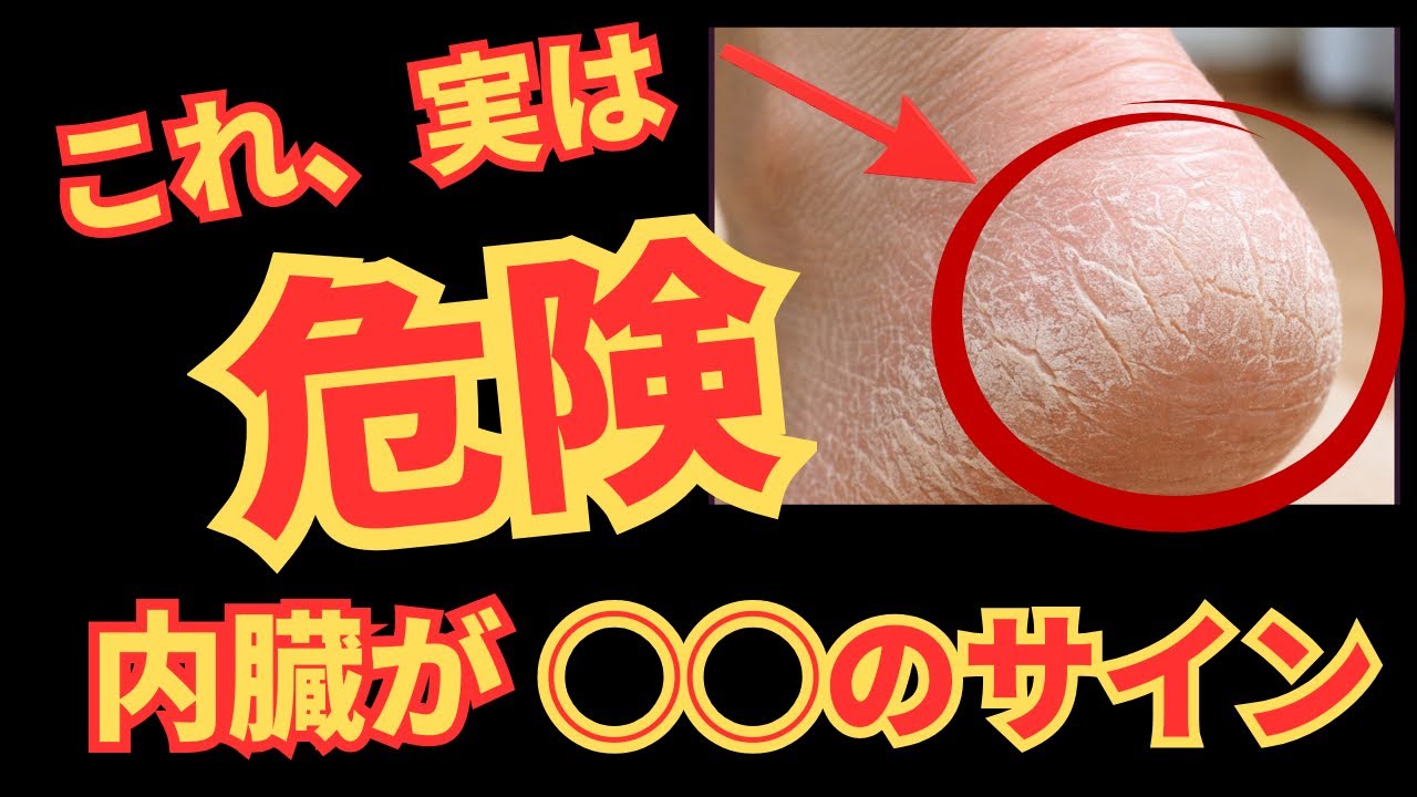 【警告⚠️】踵がガサガサな人、内臓が限界です｜肝臓・腎臓を7日で立て直す整体プログラム