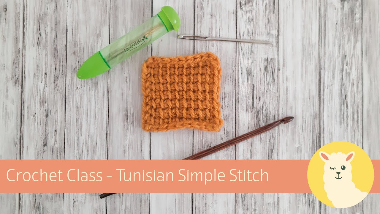 Crochet Class - Tunisian Simple Stitch (TSS)