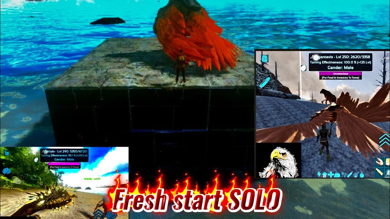 Fresh start solo(EAGLE OP) ARK MOBILE