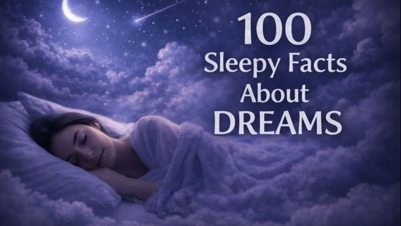 100 Sleepy Fact About Dreams