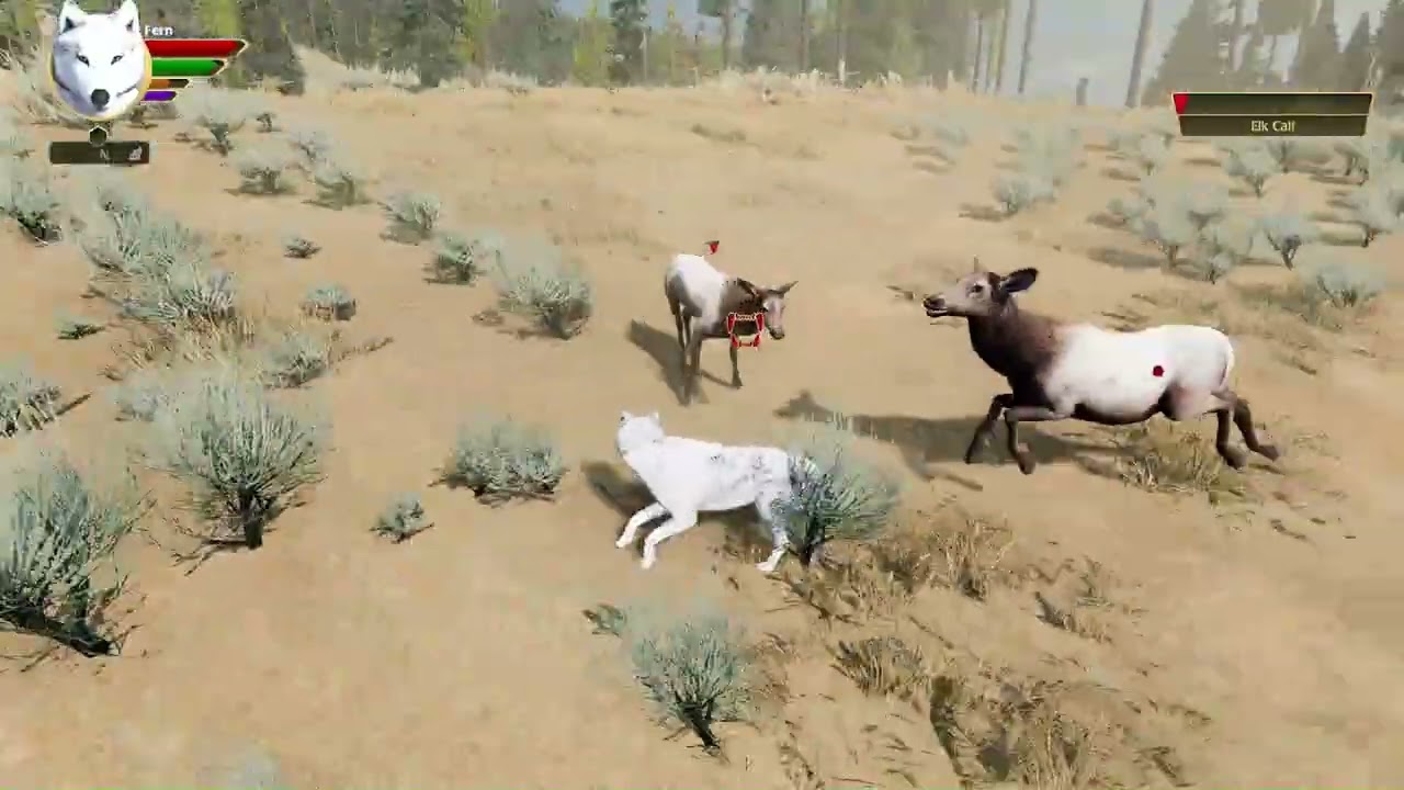 Fernkiss Gives Chase | WolfQuest: Anniversary Edition (PC)