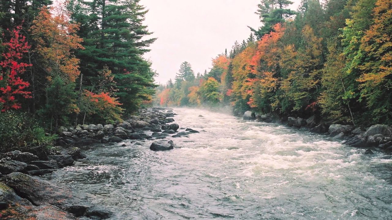 Fleet Foxes - Blue Ridge Mountains (lyrics in description)