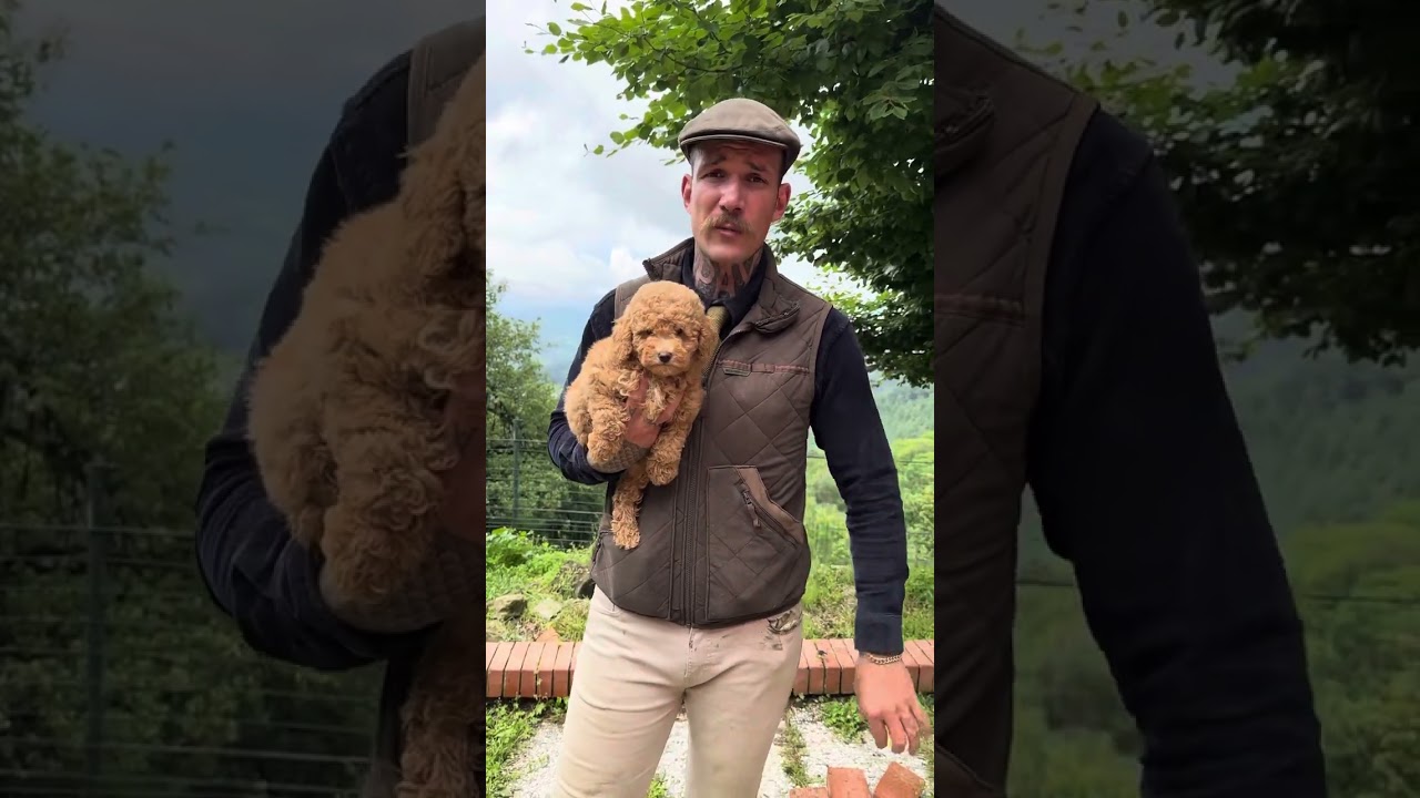 L'importanza dell'alimentazione a fresco nel cucciolo di Barboncino.