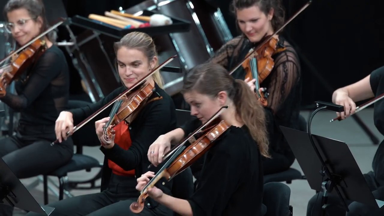 Georg Philipp Telemann: Overture 'Burlesque de Quixotte'