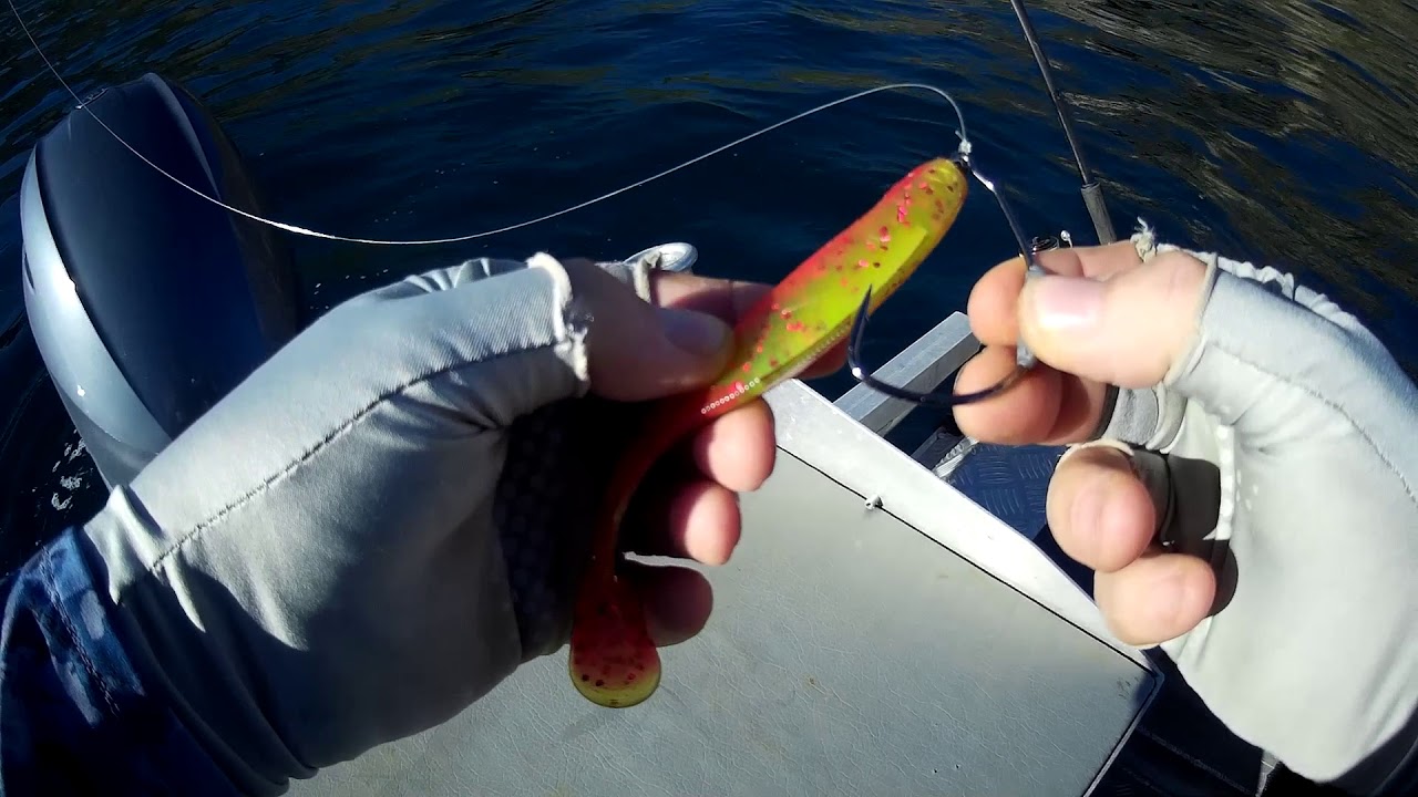 How To Rig an Owner Beast Hook