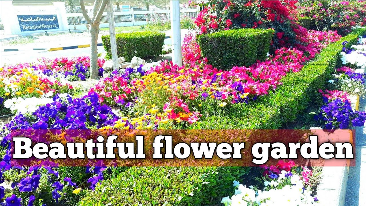 beautiful flower garden / beautiful flower garden kuwait