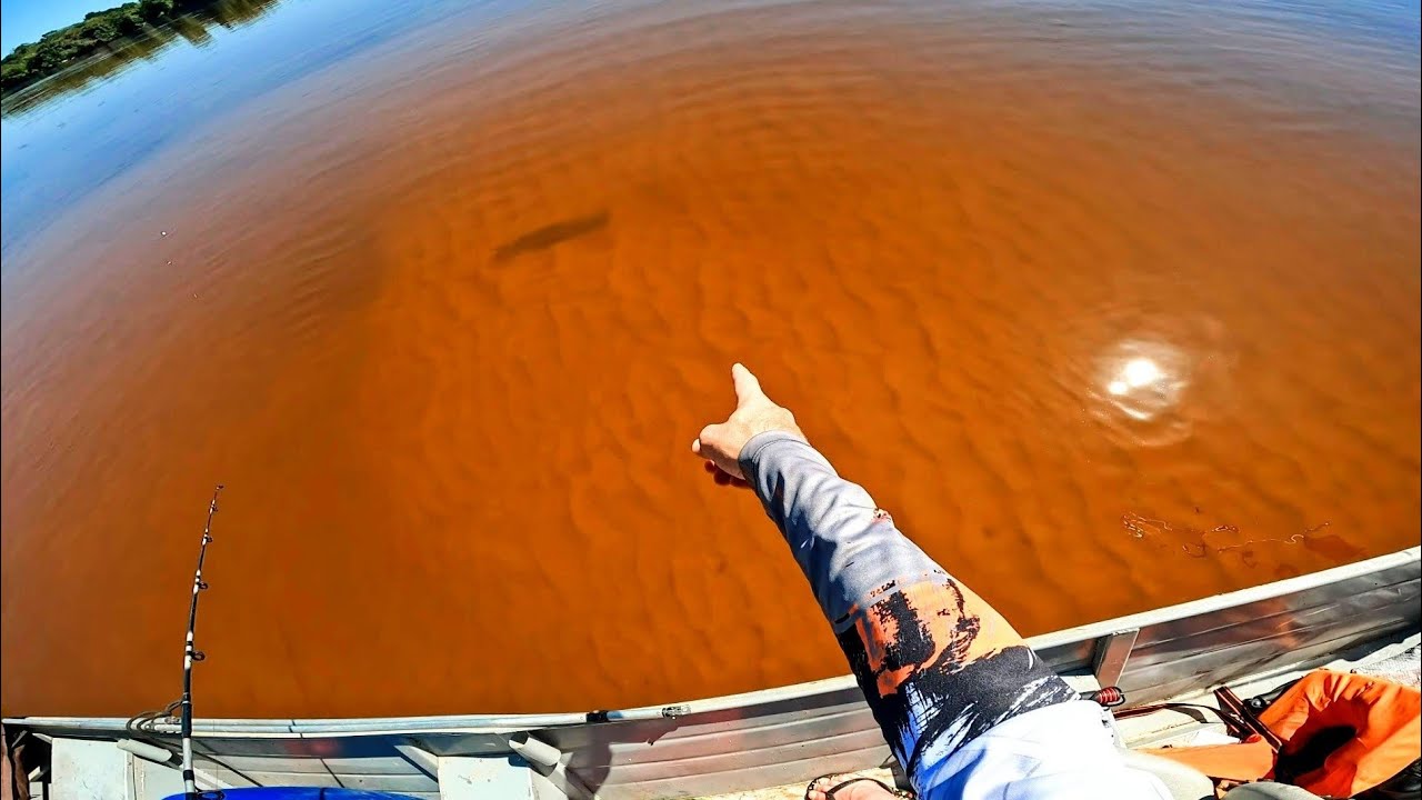 RIO GUAPORÉ PESCARIA DE PIRARARA E CAPARARI...part 1