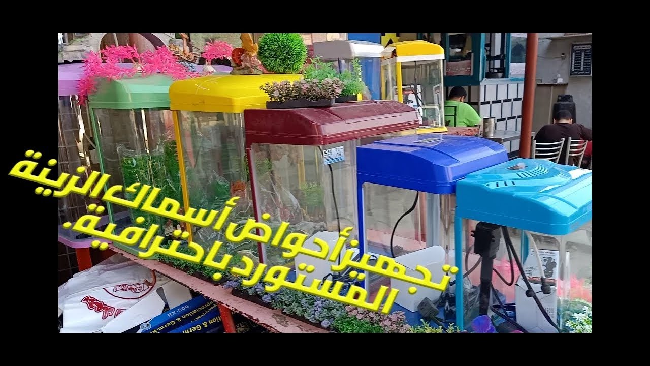 احواض سمك الزينة المستورده تجهيز  وتنظيف دون مجهود و باسرع الطريق الاحترافية