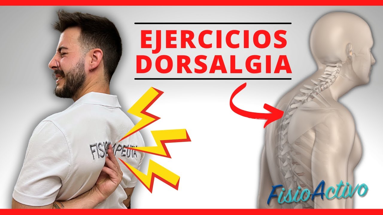 Domina tu DOLOR de Espalda Media con esta increíble Rutina de EJERCICIOS para la DORSALGIA