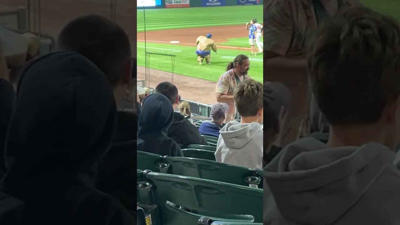 Fisher cats game with sumo