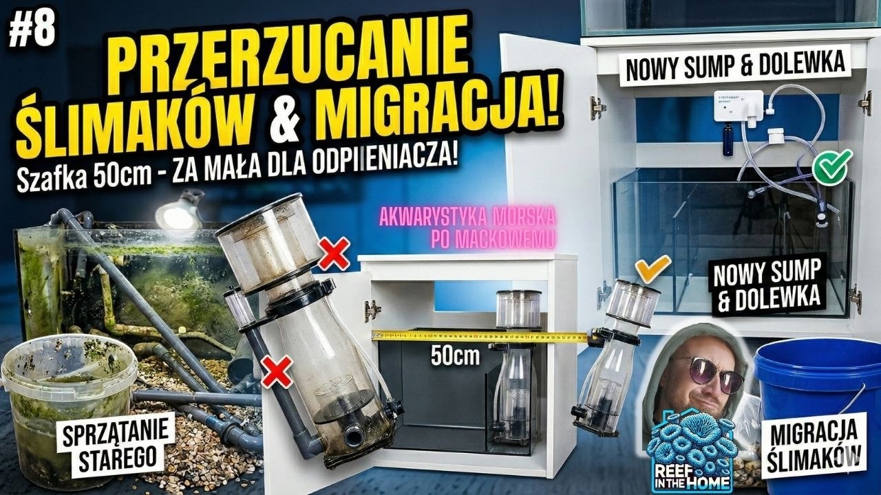 Akwarystyka morska -  odc.8 - buduje zbiornik z akrylu, pełna migracja życia, dolewka, niska szafka