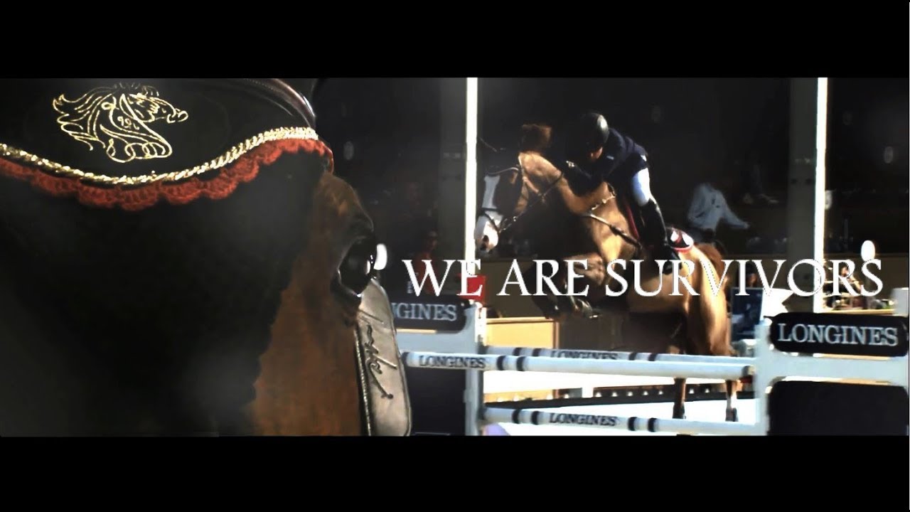 EQUESTRIANISM | Survivor