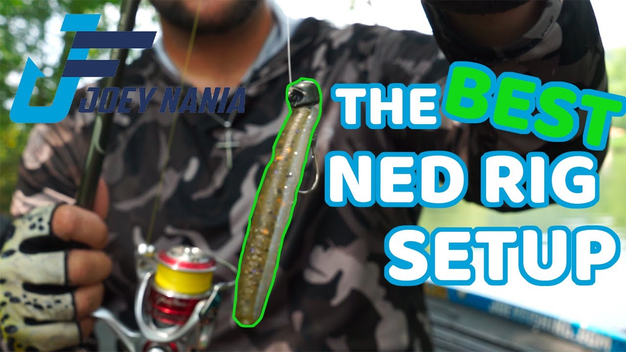 The BEST NED Rig Setup! | ( Rod, Reel, and Bait )