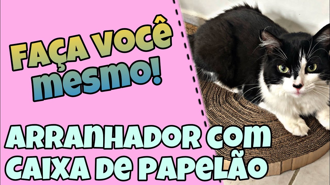 ARRANHADOR COM CAIXA DE PAPELÃO: Faça você mesmo!
