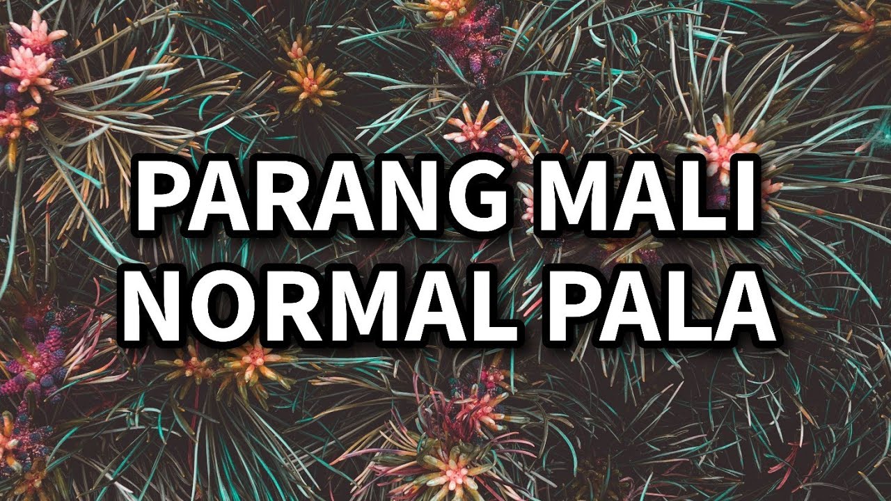 5 THINGS NA PARANG MALI PERO NORMAL PALA SA HALAMAN | Plant Care for Beginners