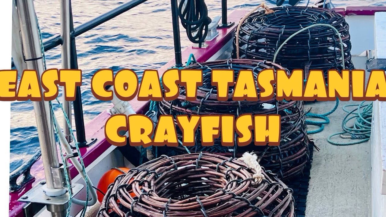 Pulling pots and how we process crayfish// Tasmania//Wooden Boat //Liveaboard//