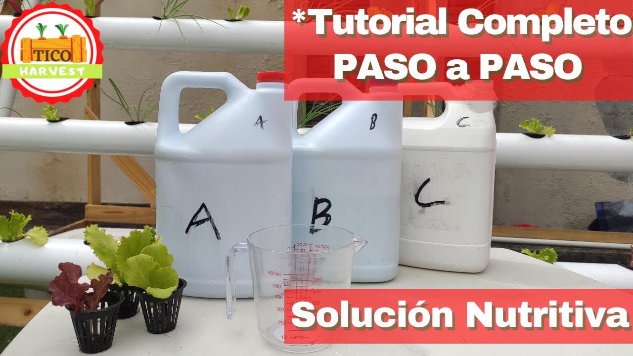 C&oacute;mo preparar soluci&oacute;n nutritiva para hidropon&iacute;a | Gu&iacute;a completa paso a paso
