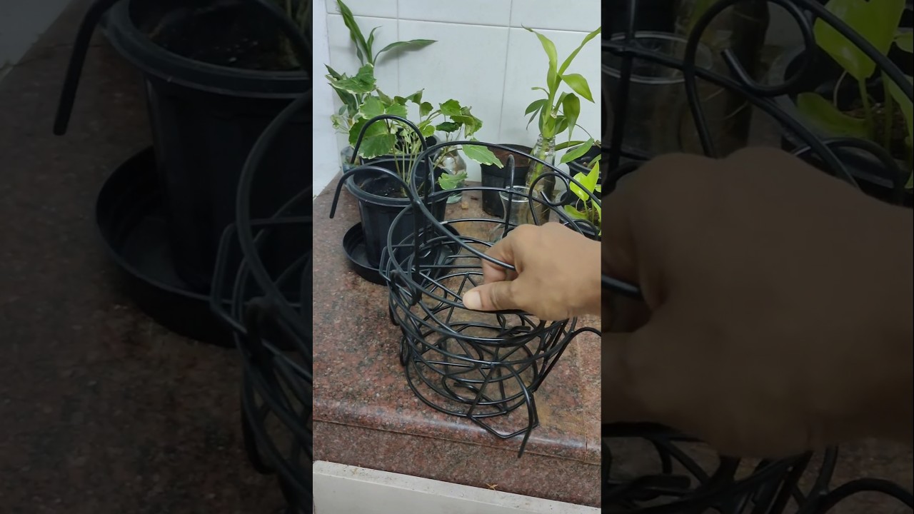 Unboxing Garden accessories | 😲😲