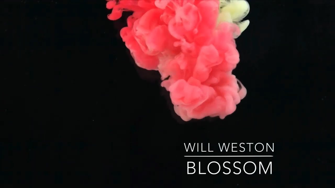 Will Weston - Blossom (Official Music Video)