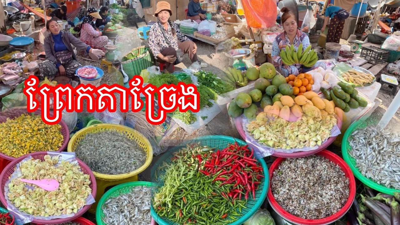 ក្តៅខ្លាំងដំណាំតាមផ្លូវ​ លែងចង់ផ្លែ​ ផ្សារព្រែកតាច្រែង​ បាត់ដំបង