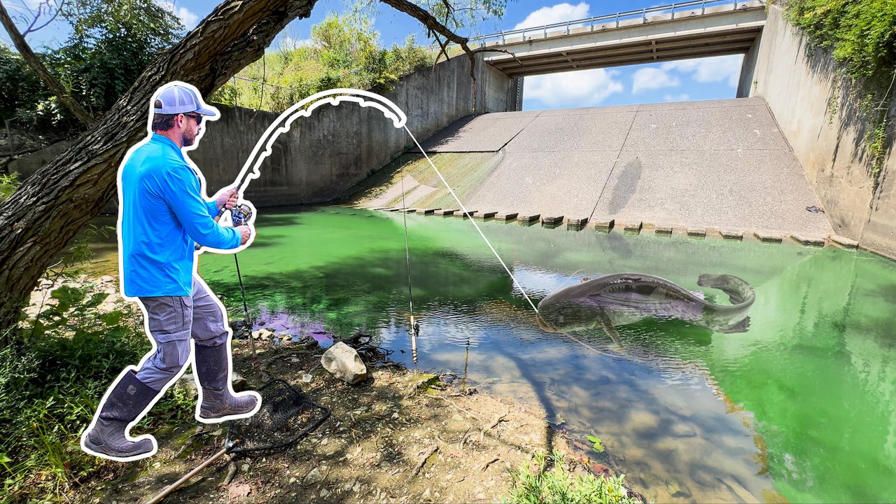 ОГРОМНАЯ рыба живет под этим МАЛЕНЬКИМ водосбросом!!!