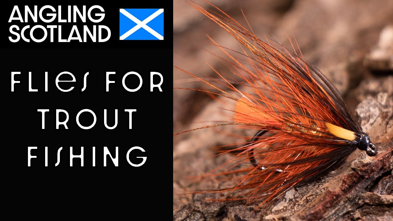 Flies for trout fishing | Loch Style Flies | Octopus Wet Fly