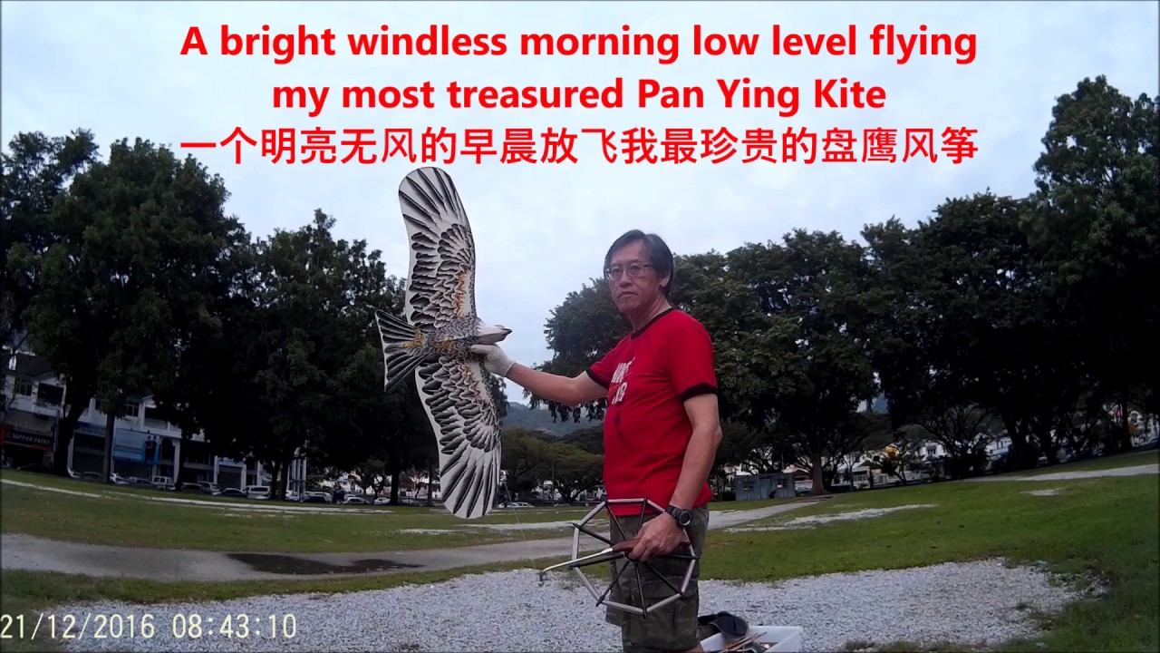 Low Level Flying Pan Ying Kite -  Video 20