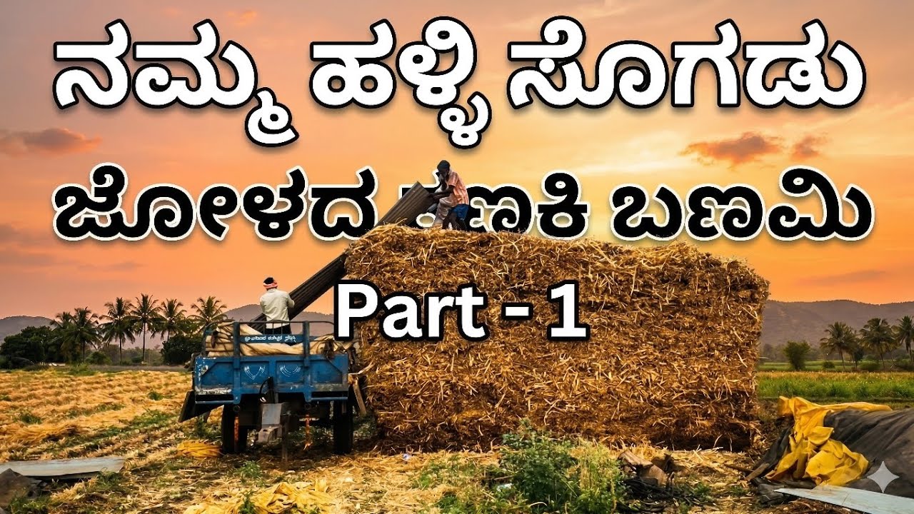 ಜೋಳದ ಬಣಮಿ #agriculture #villagelife #peaceful #hardwork #jowar 